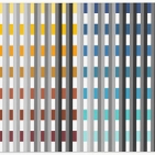 Zonder titel- 298- 2008- 48 x 96- € 3.600