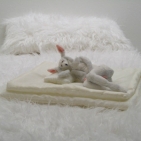 Bedroom rabbit